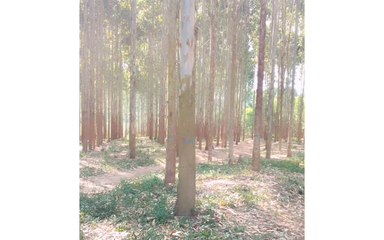 WhatsApp Image 2023-06-27 at 10.03.40 AM.png